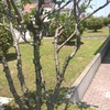 Giardinaggio condominio don landi anzola emilia