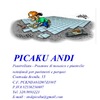 Andi Picaku
