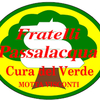 Luigi Passalacqua
